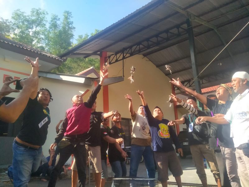 HUT RI Ke-79, Trepel Gelar Latber Perkutut 